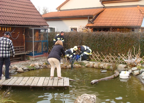 Tierrettung in Mürzhofen