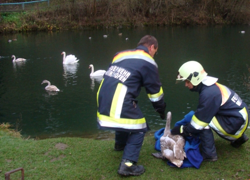 Tierrettung in Mürzhofen